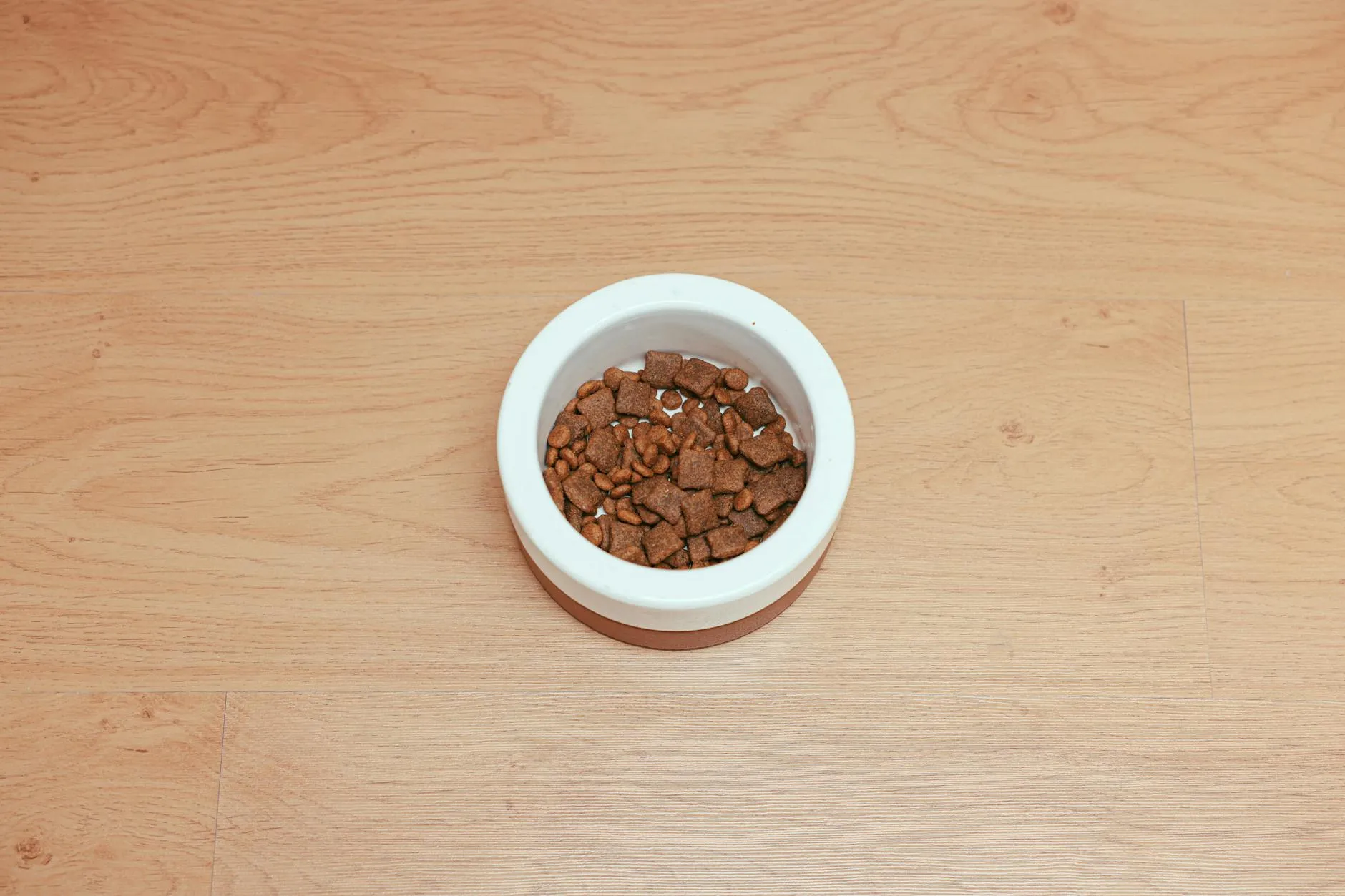 Alimentation et nutrition canine