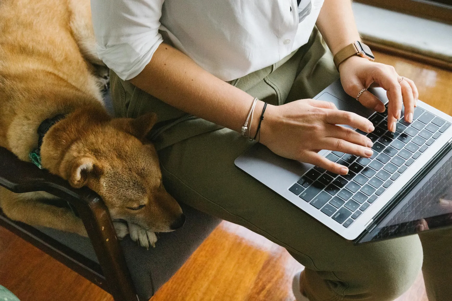 Chien et maître au bureau