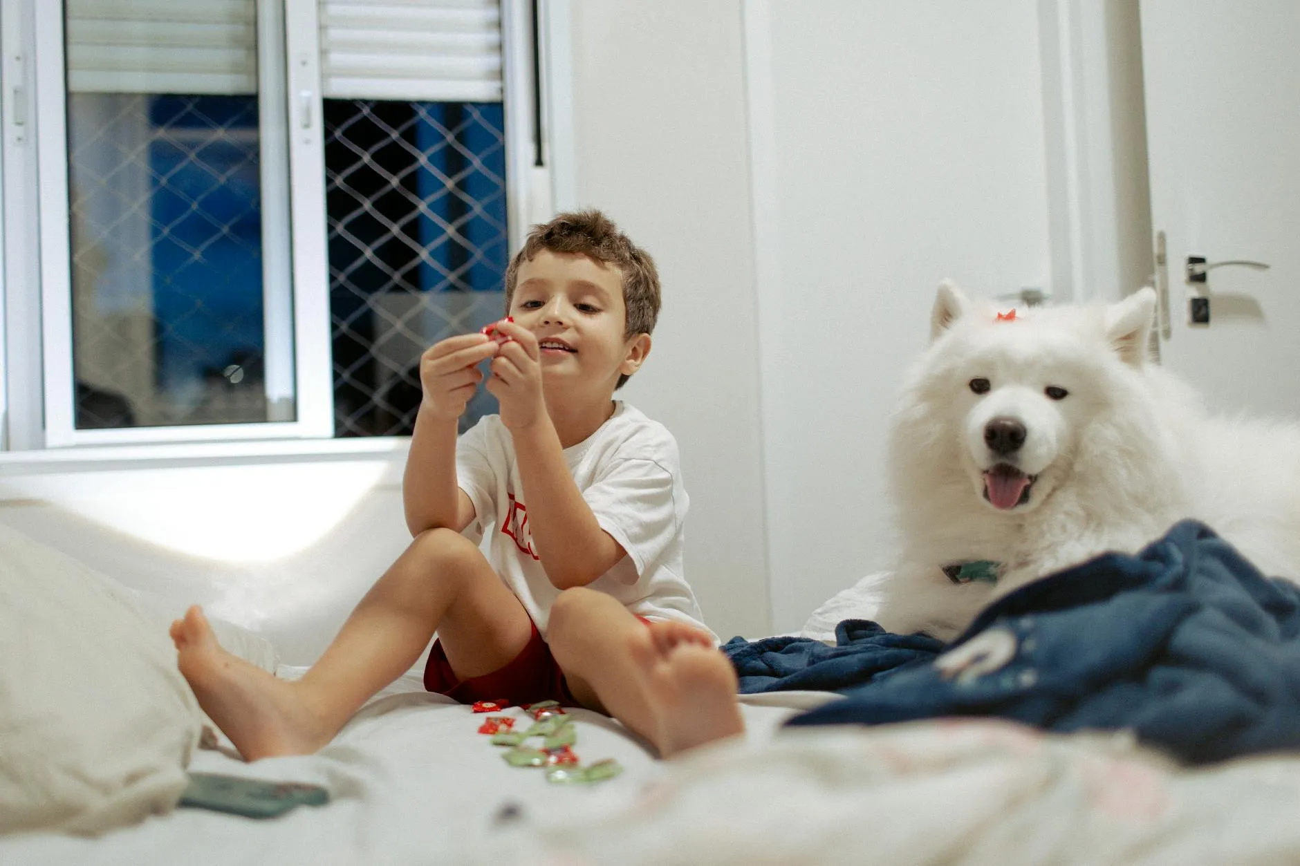 Enfant jouant avec un chien