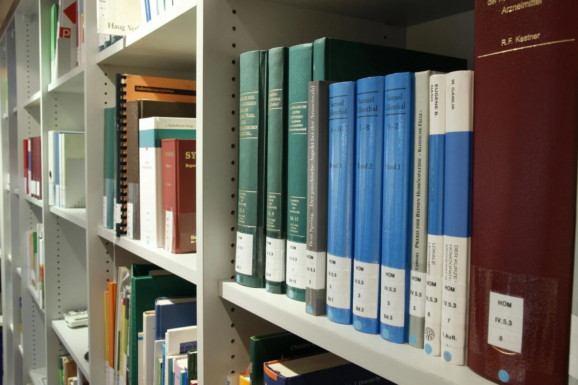 Chien dans bibliothèque